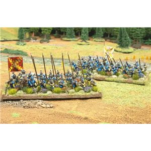 RSL Gaming AB | BFAS Polish Volonteers