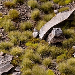 Dry Green 6mm