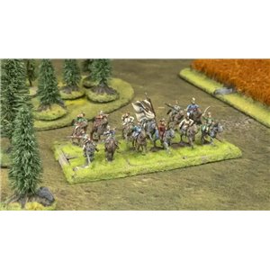 BFAS Polish Volonteers