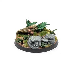 AK Basing - Forest Mushrooms