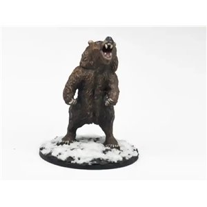 Bear Rearing To Attack