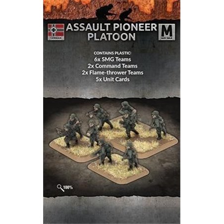 RSL Gaming AB | Assault Pioneer Platoon