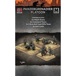Panzergrenadier Platoon