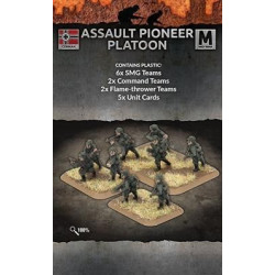 Assault Pioneer Platoon