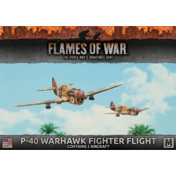 P-40 Warhawk Fighter Flight