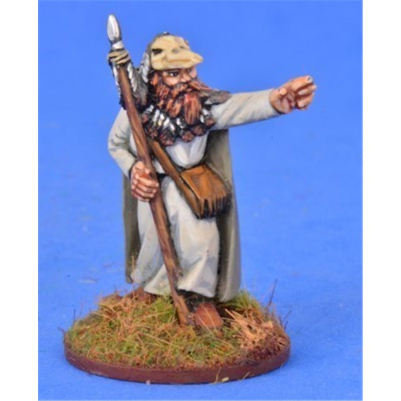 RSL Gaming AB | Pagan Priest Two
