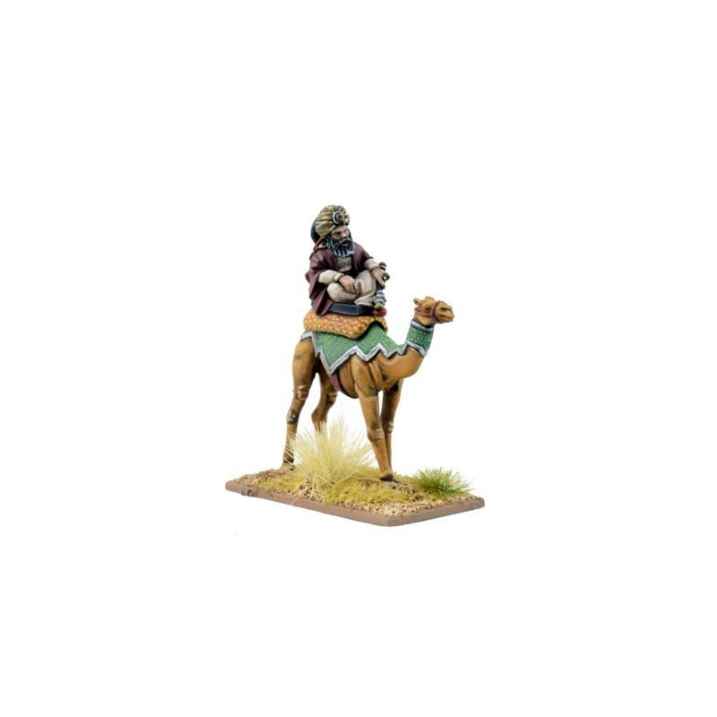 Mutatawwi'a Warlord on Camel