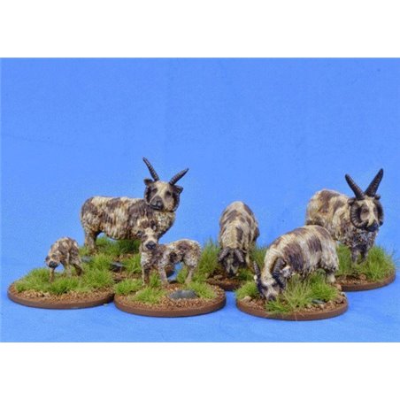RSL Gaming AB | Sheep (Manx Loaghtan)