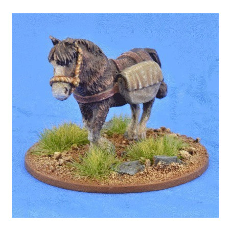 Pack Pony (Panniers)