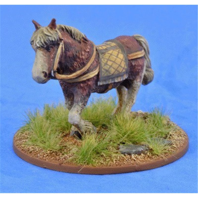 RSL Gaming AB | Riding Pony