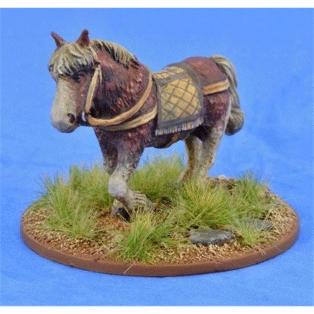 RSL Gaming AB | Riding Pony