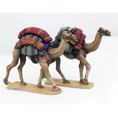 RSL Gaming AB | Baggage Camels