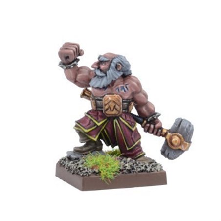 RSL Gaming AB | Dwarf Stone Priest