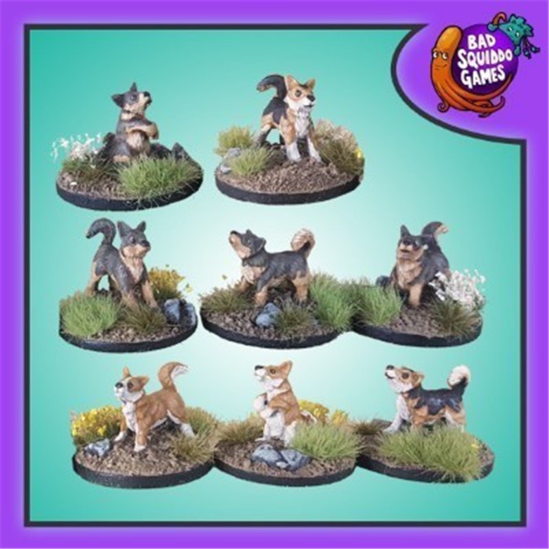 RSL Gaming AB | Vallhundar