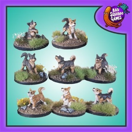 RSL Gaming AB | Vallhundar
