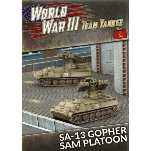 SA-13 Gopher SAM Platoon