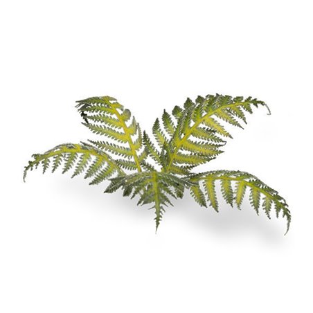 RSL Gaming AB | Bracken