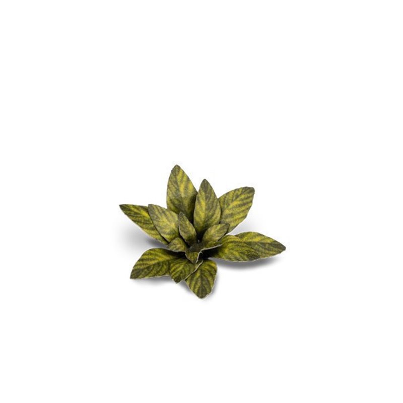 RSL Gaming AB | Dumb Cane