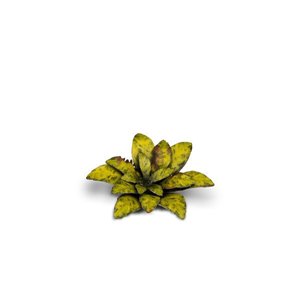 RSL Gaming AB | Dumb Cane