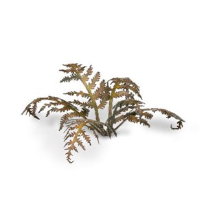 RSL Gaming AB | Dry Bracken