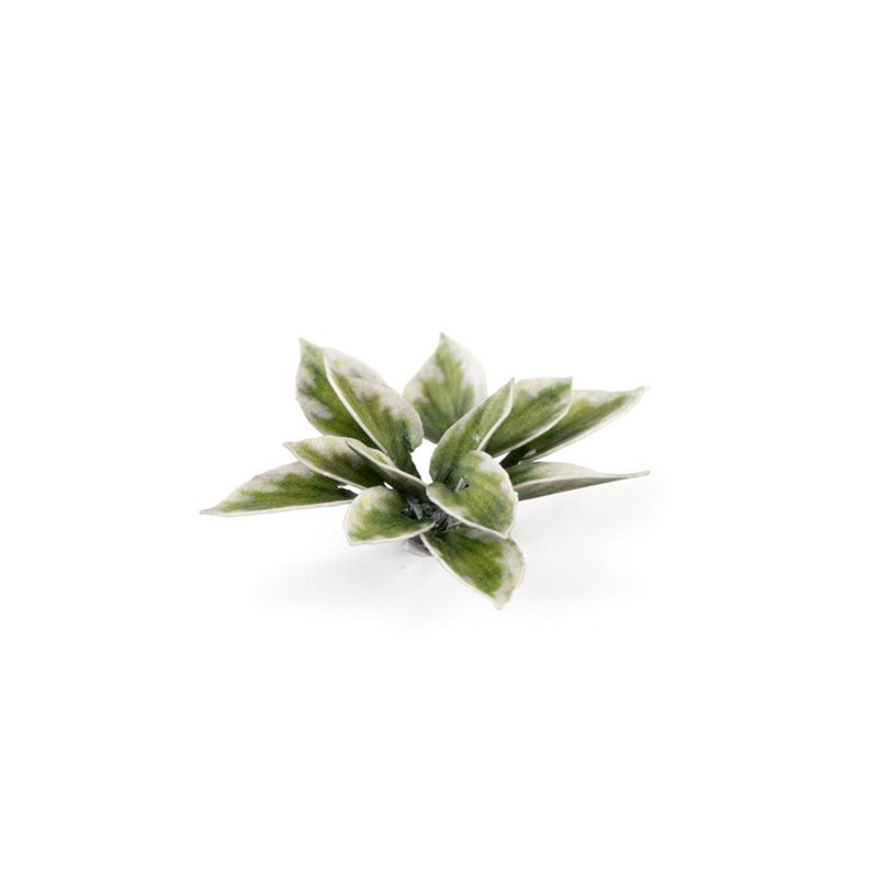 RSL Gaming AB | Plantain Lily