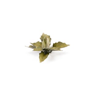 RSL Gaming AB | Plantain Lily