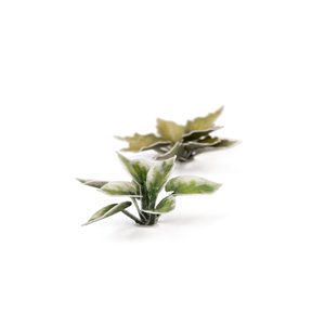 RSL Gaming AB | Plantain Lily