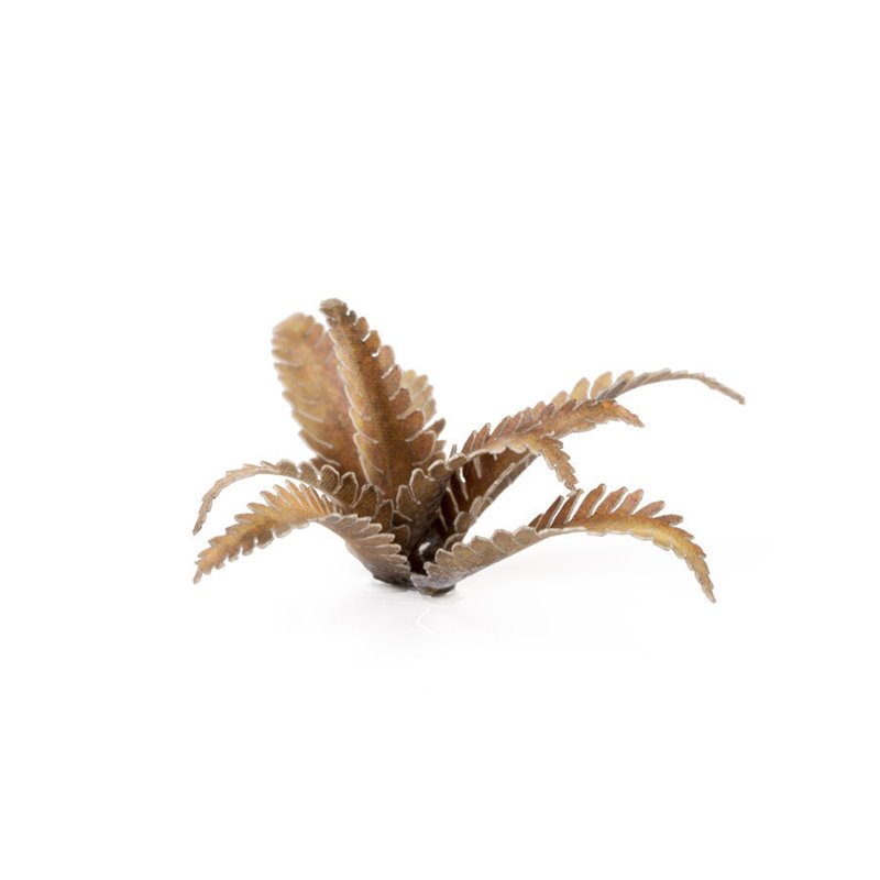 RSL Gaming AB | Deer Fern