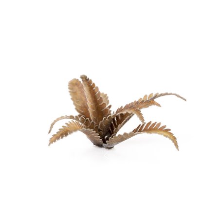 RSL Gaming AB | Deer Fern