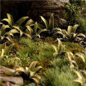 RSL Gaming AB | Deer Fern