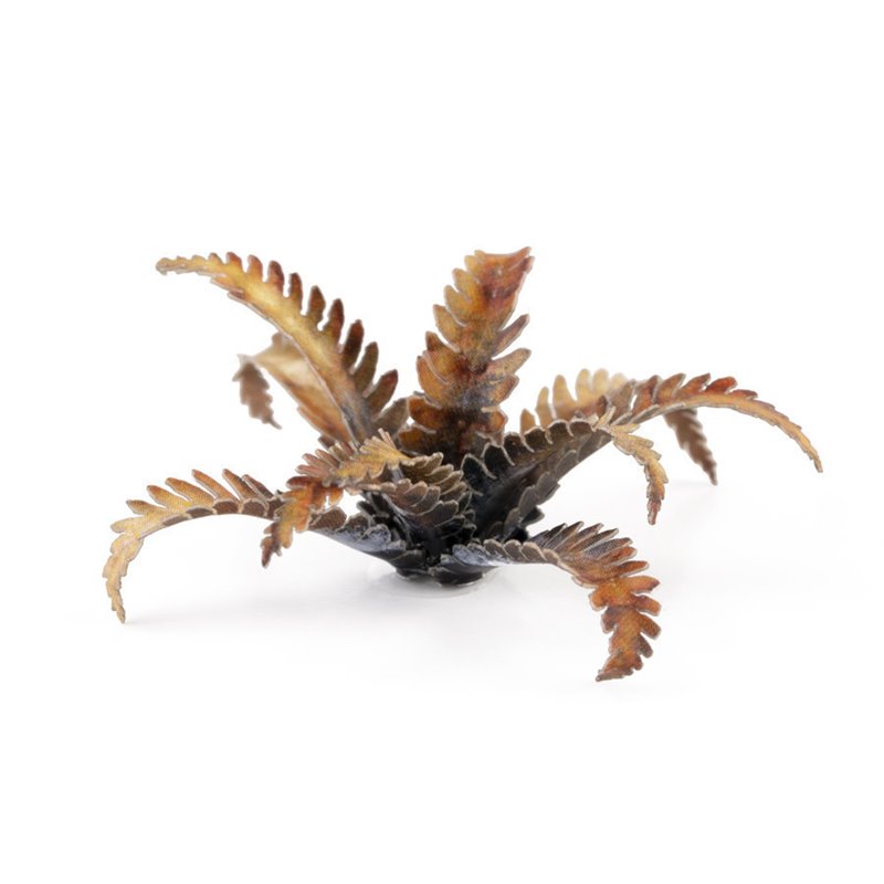 RSL Gaming AB | Alien Fern