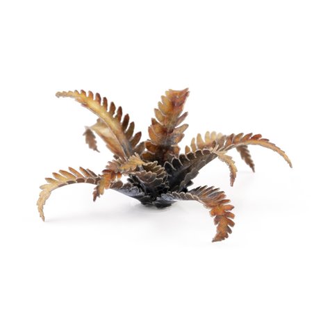 RSL Gaming AB | Alien Fern