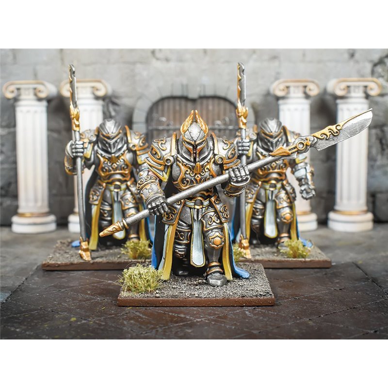 RSL Gaming AB | Ogre Palace Guard Regiment