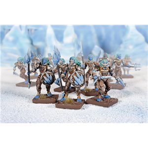 RSL Gaming AB | Northern Alliance Ice Elemental Regiment