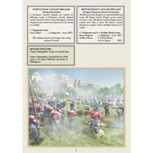 Soldiers of Napoleon - The Peninsular War