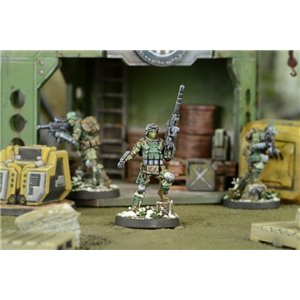 RSL Gaming AB | Frontoviks, Assault Separated Battalion