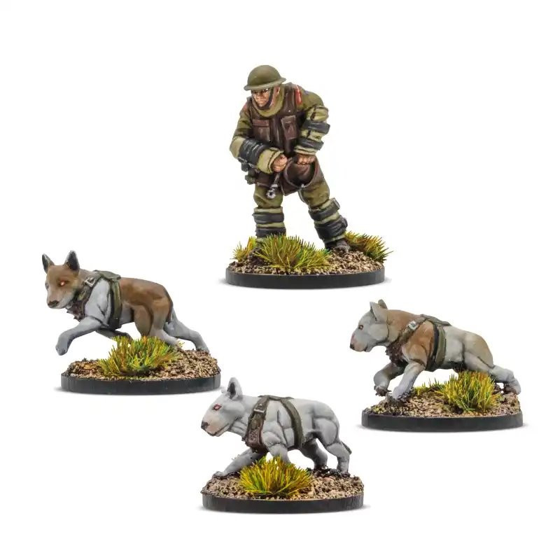 Konflikt '47 Commonwealth Cerberus Squad