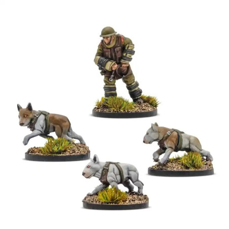 Konflikt '47 Commonwealth Cerberus Squad